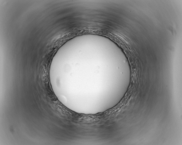 X0000111600917200907161210
