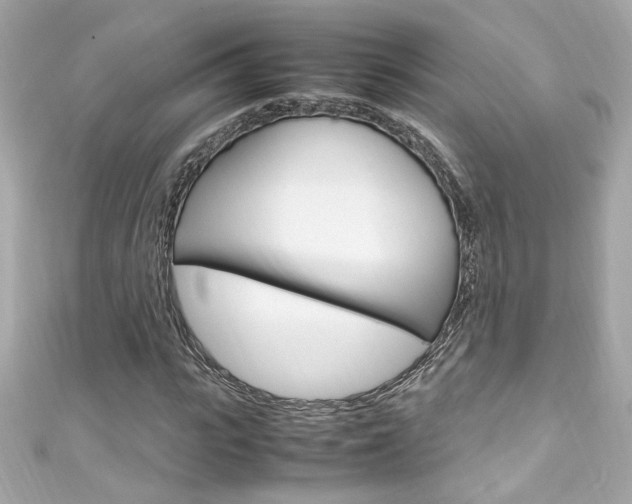 X0000111600919200907161210