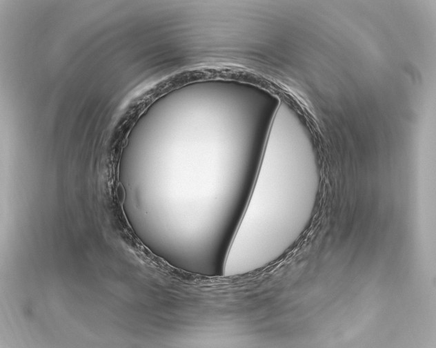 X0000111600920200907161211