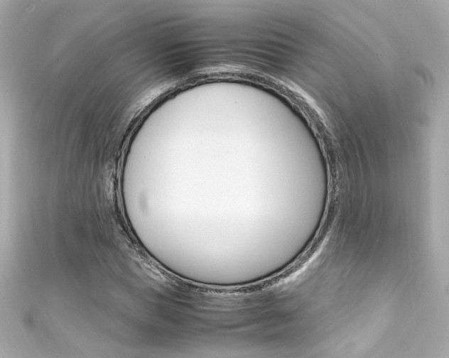 X0000111600921200907161211