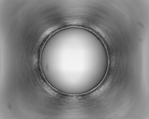 X0000111600922200907161211