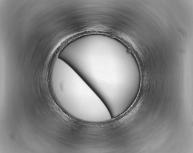 X0000111600923200907161211