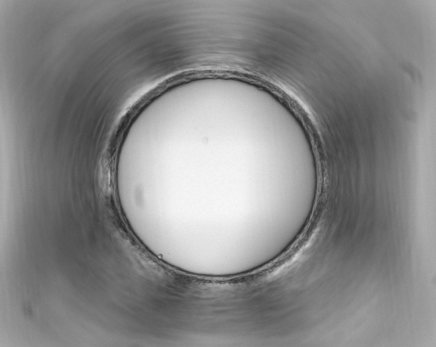 X0000111600925200907161211