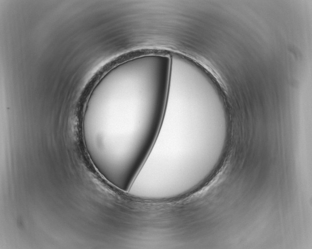 X0000111600926200907161211