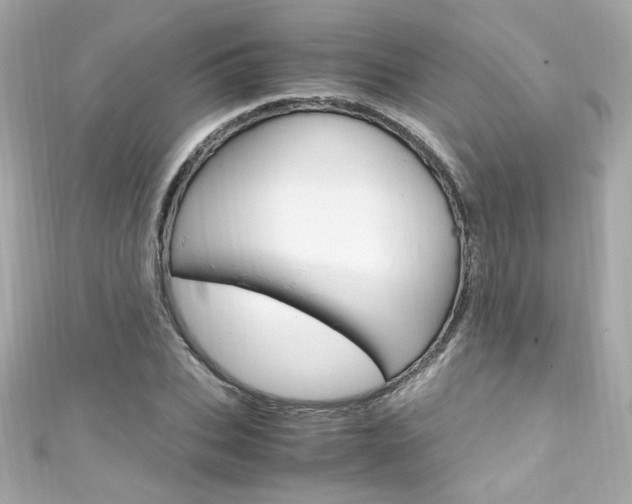 X0000111600927200907161211