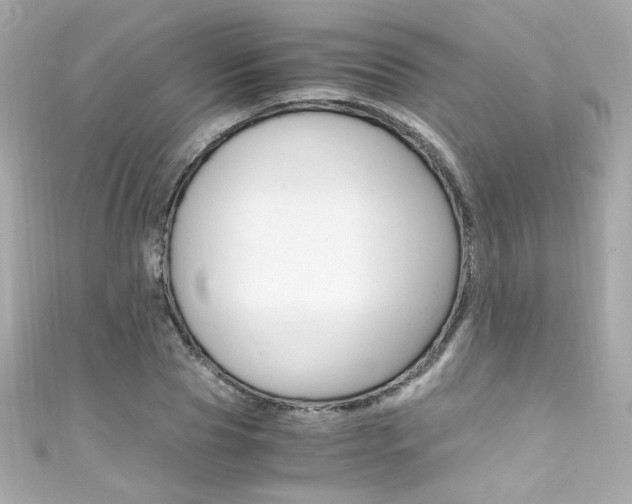 X0000111600929200907161211