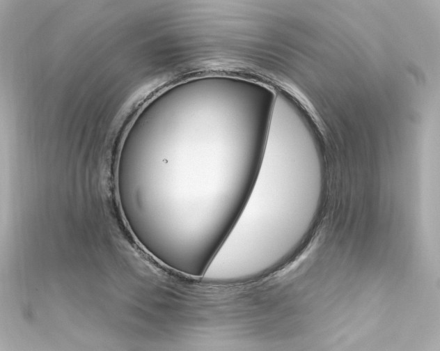 X0000111600930200907161211
