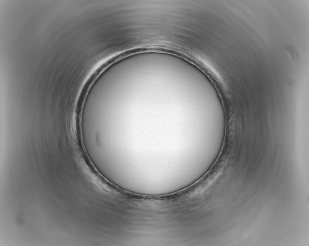 X0000111600932200907161211