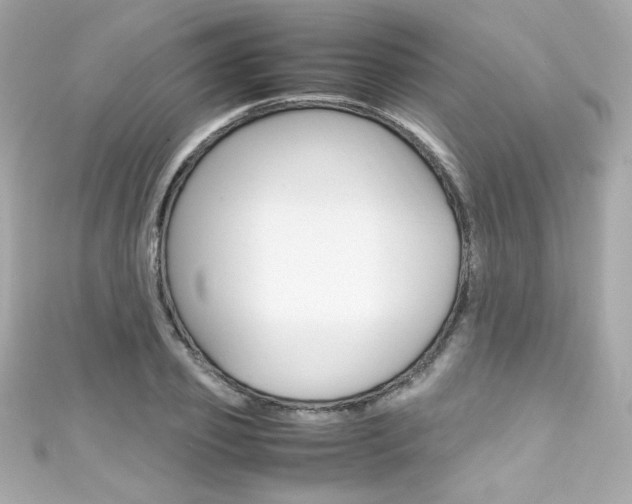 X0000111600933200907161211