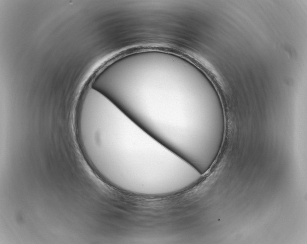 X0000111600935200907161211