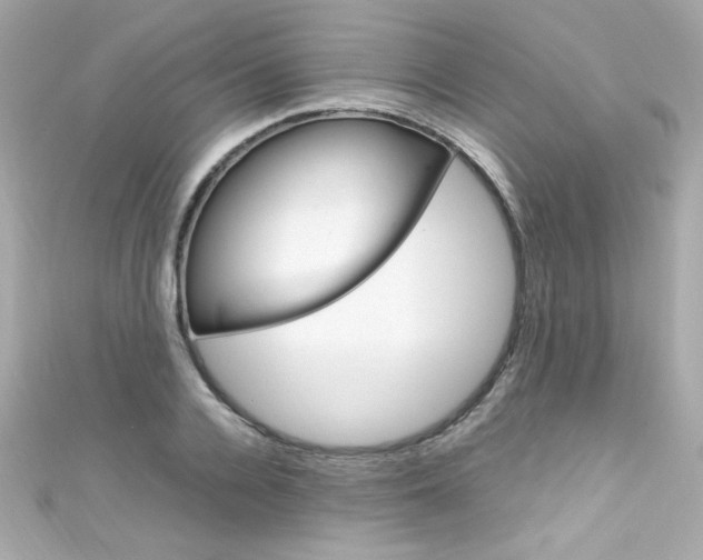 X0000111600936200907161211