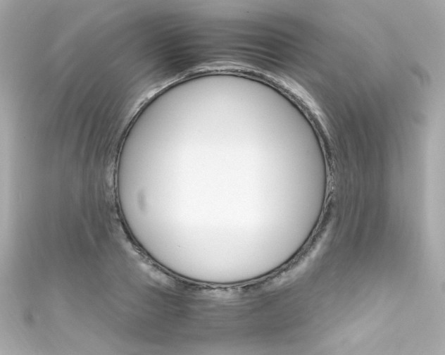 X0000111600937200907161211