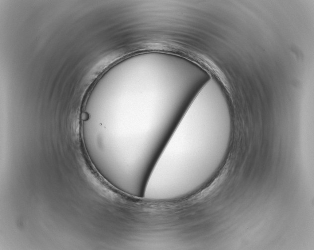 X0000111600938200907161211