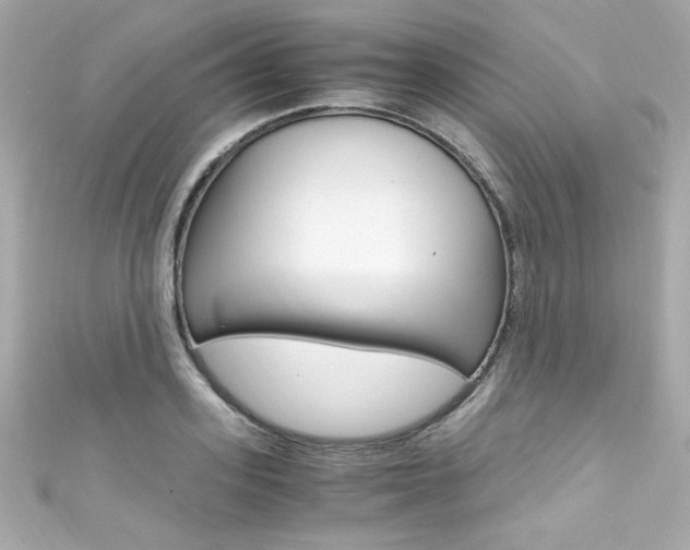 X0000111600939200907161211