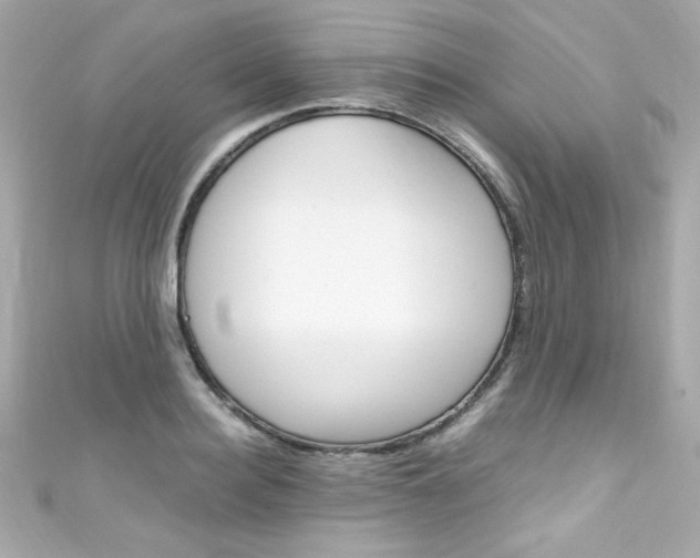 X0000111600940200907161211