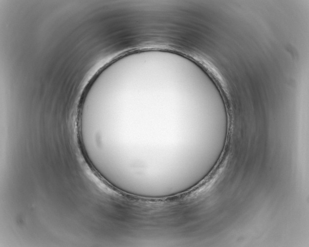 X0000111600941200907161211