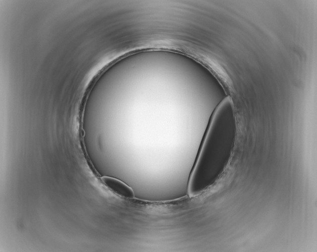 X0000111600944200907161211