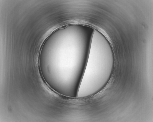 X0000111600946200907161211