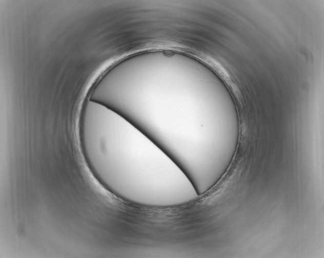 X0000111600947200907161211
