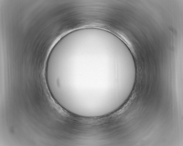 X0000111600948200907161211