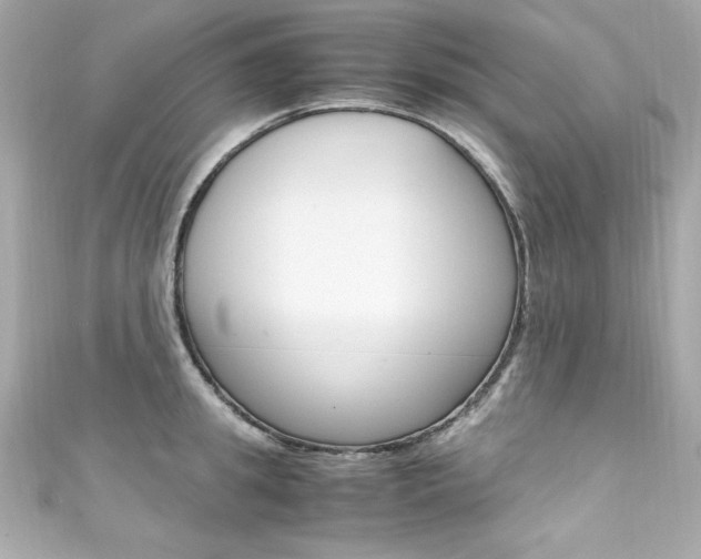 X0000111600949200907161211