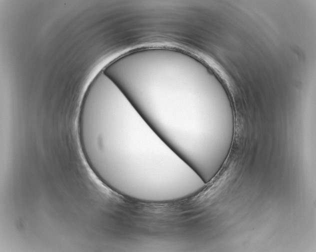 X0000111600951200907161211