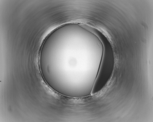 X0000111600952200907161211
