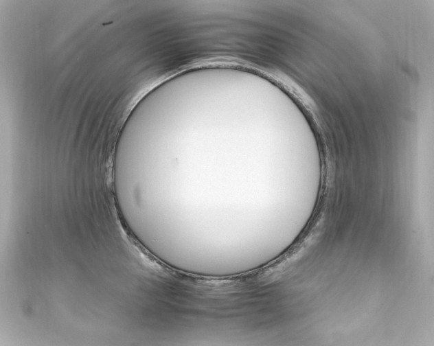 X0000111600953200907161211
