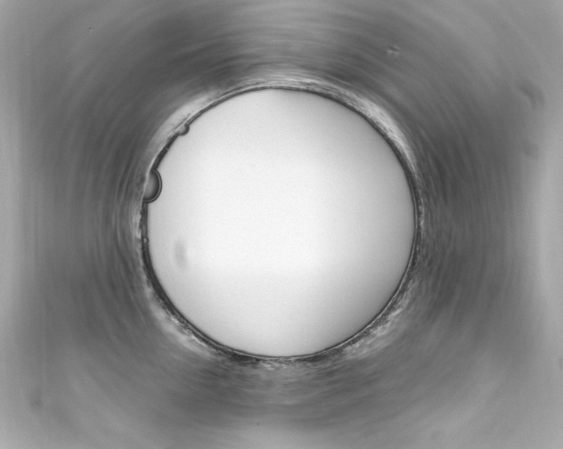 X0000111600954200907161211