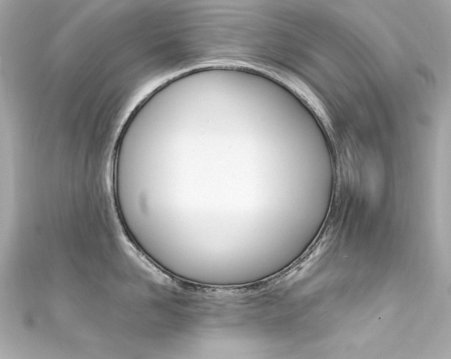 X0000111600958200907161211