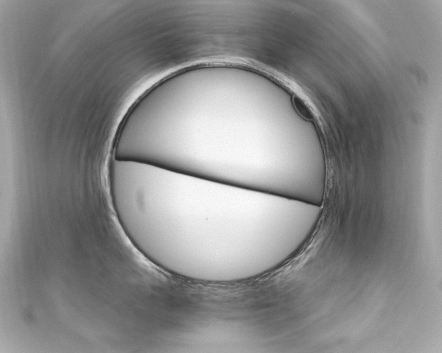 X0000111600959200907161211