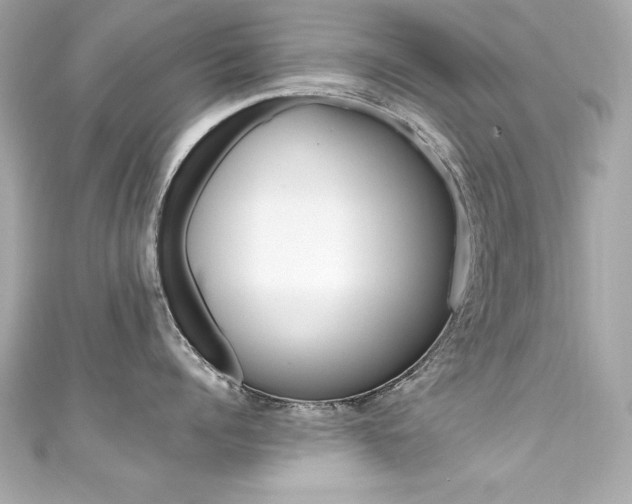X0000111600960200907161211