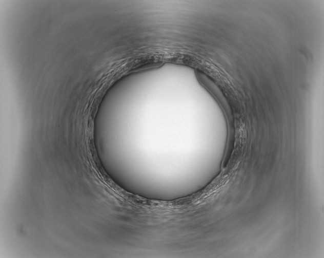 X0000111600961200907161210
