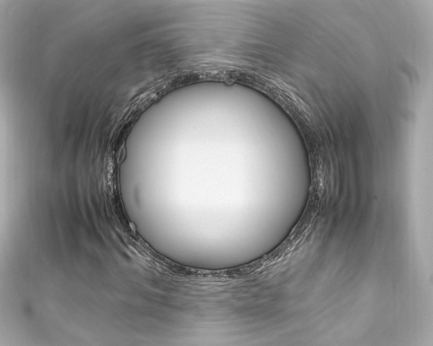 X0000111600964200907161210