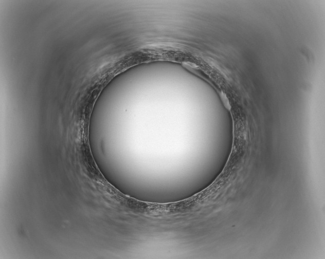 X0000111600965200907161210