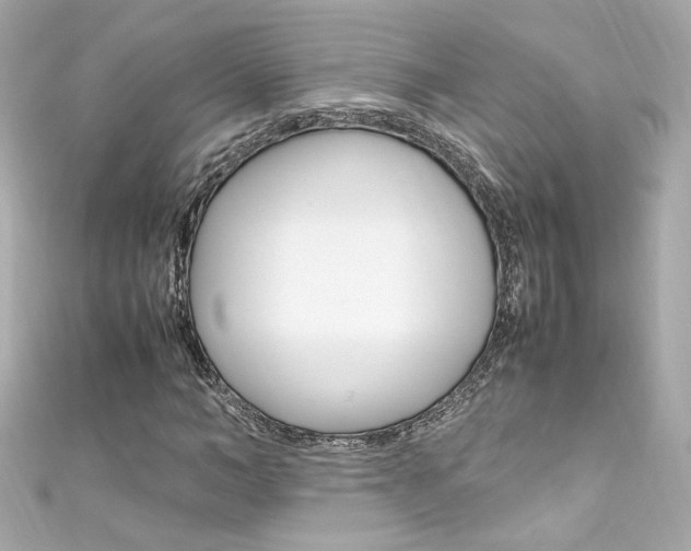 X0000111600966200907161210