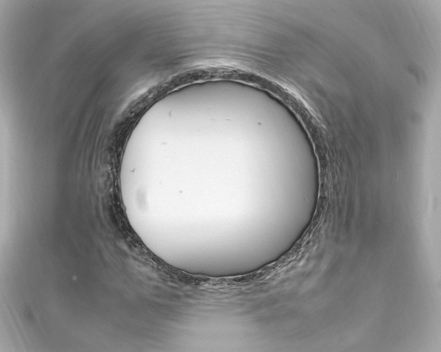 X0000111600967200907161210