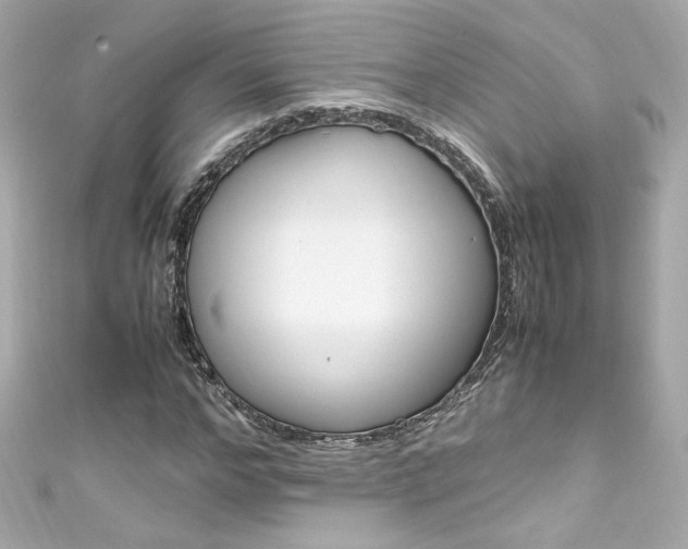 X0000111600968200907161210
