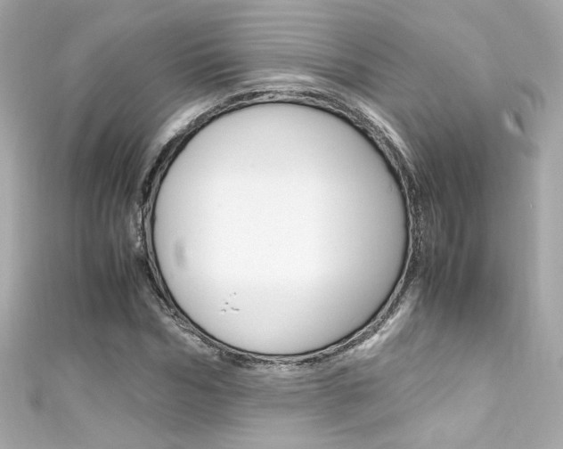 X0000111600970200907161210