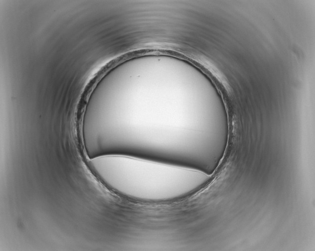 X0000111600972200907161210