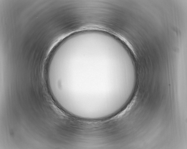 X0000111600973200907161210