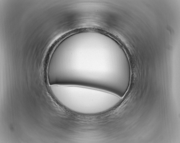 X0000111600975200907161210