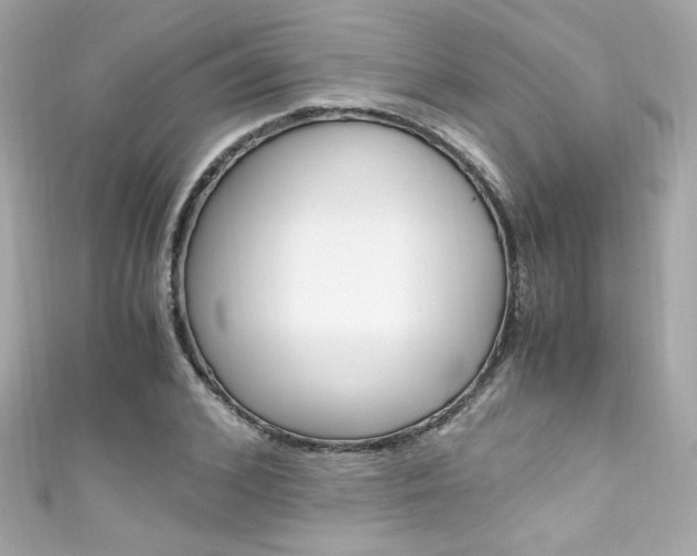 X0000111600976200907161210