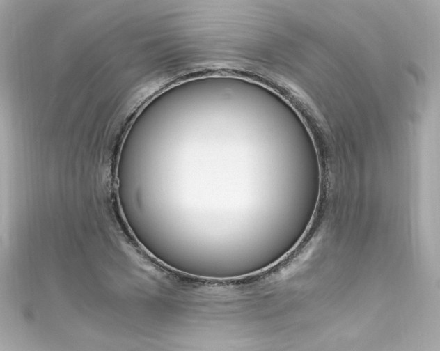 X0000111600977200907161210