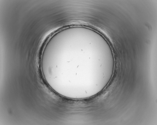 X0000111600979200907161210