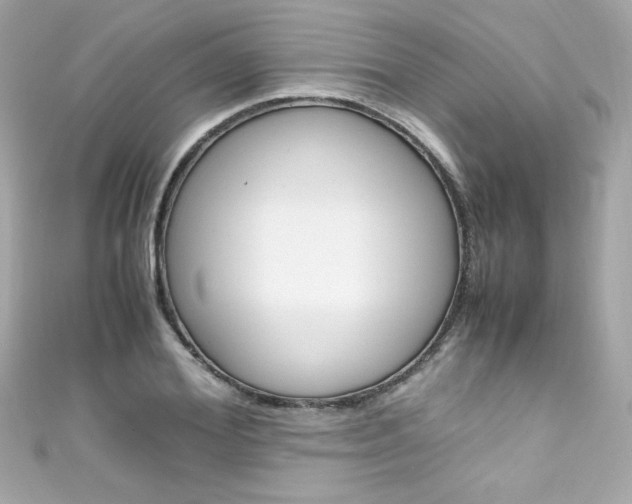 X0000111600980200907161210