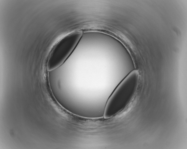 X0000111600981200907161210