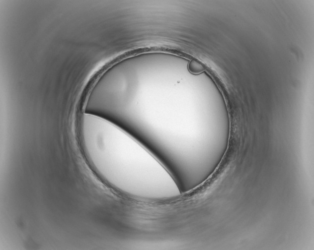 X0000111600983200907161210