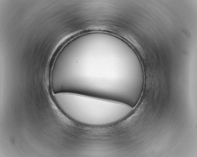 X0000111600984200907161210