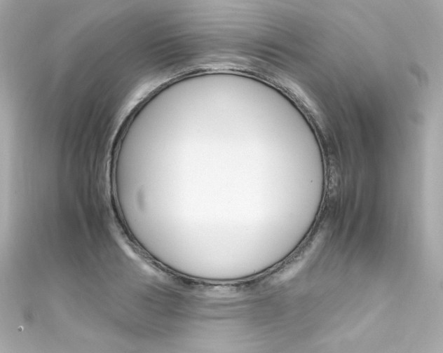 X0000111600986200907161210